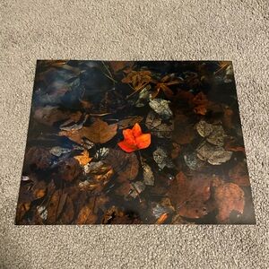 8” x 10” Autumn Red Standout Print